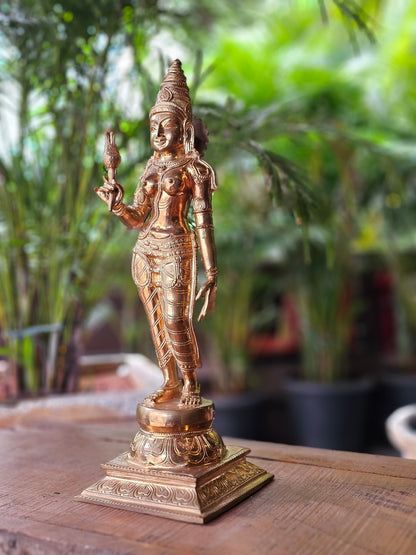 21" Parvati Devi Standing in Bronze