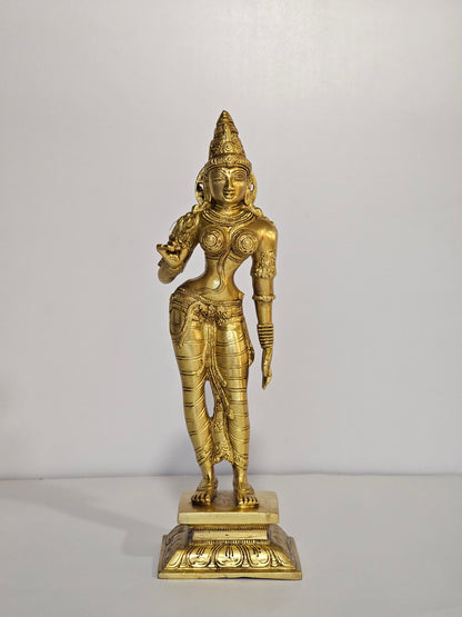 13" Parvati Devi in Brass